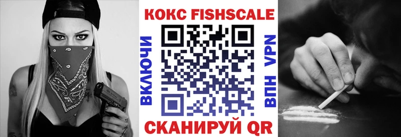Купить закладки  Новосокольники  COCAIN 97% 