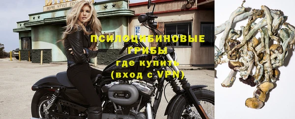 MESCALINE Гусь-Хрустальный