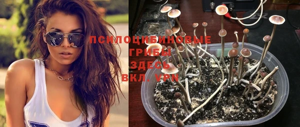 ешки Гусиноозёрск